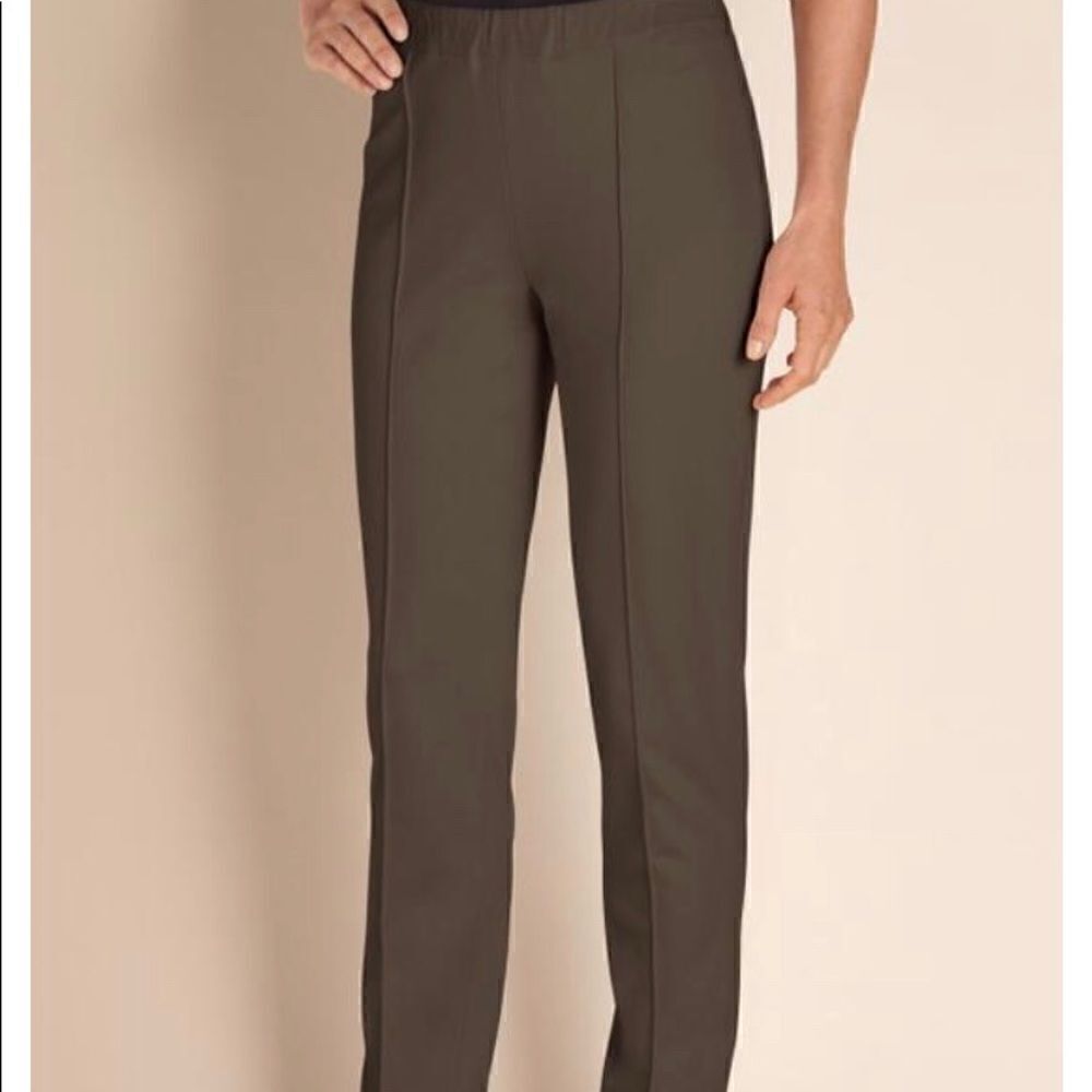 ‎Soft Surroundings brown skinny pull on pants TS